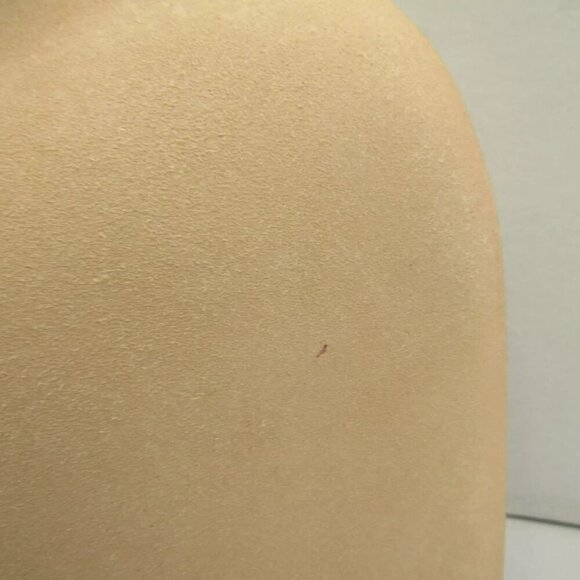 NEW COACH Womens Laurence Metallic Sandal Heeled Open Toe Champagne Size 8.5 - Picture 8 of 9